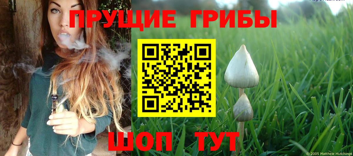 Псилоцибиновые грибы Magic Shrooms Заречный