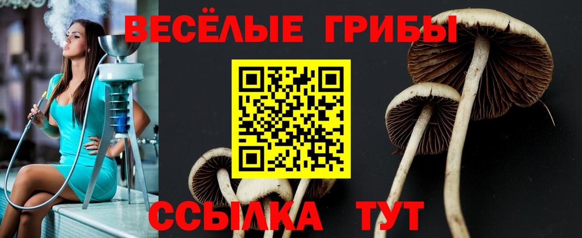 Псилоцибиновые грибы Cubensis  Псилоцибиновые грибы мицелий  Заречный  Вход с VPN 
